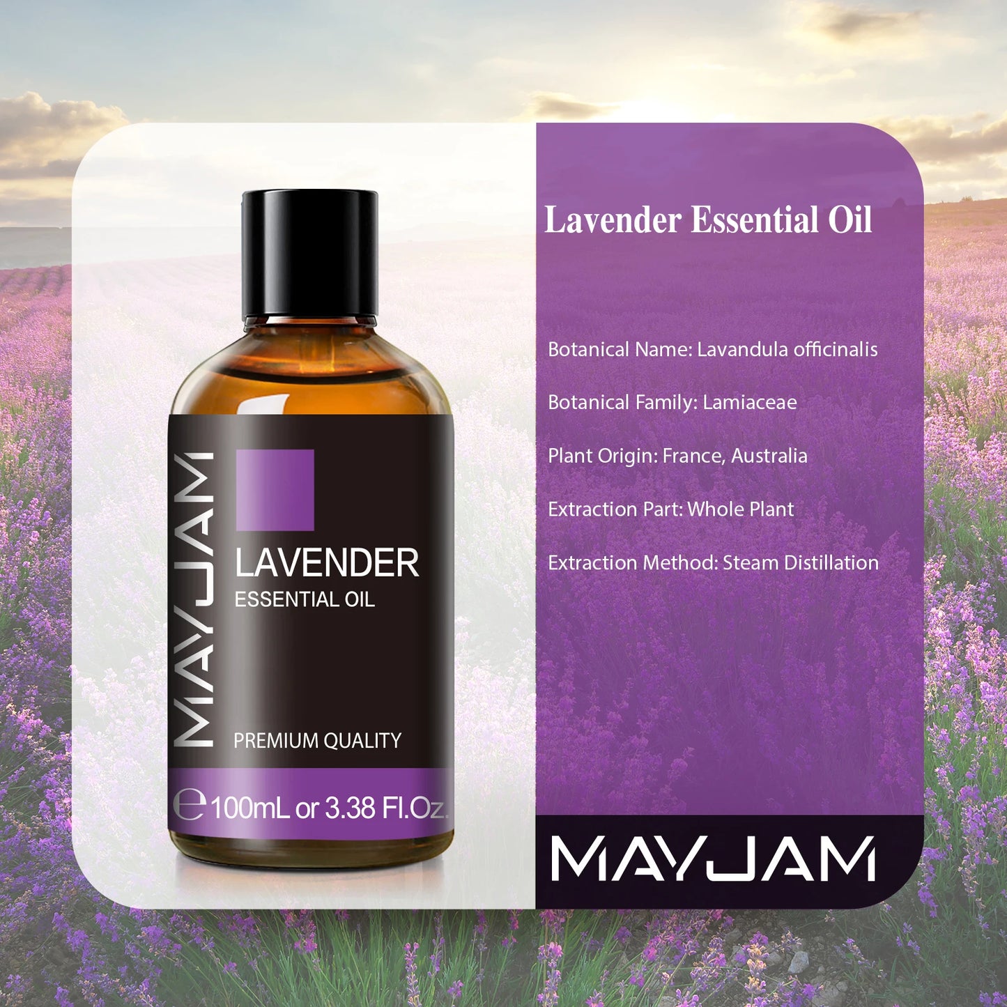 MAYJAM 100ml Pure Essential Oil with Glass Dropper, Aromatherapy Essential Oils Lavender Eucalyptus Rosemary Vanilla Aroma Oil