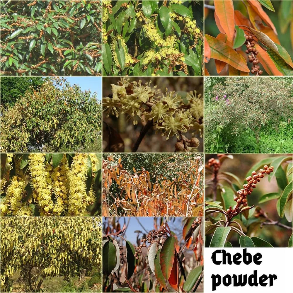 African Layden Nourish Oil Made by Ancient Methods Hot Hair Oil Scalp & Hair Roots Strengthening