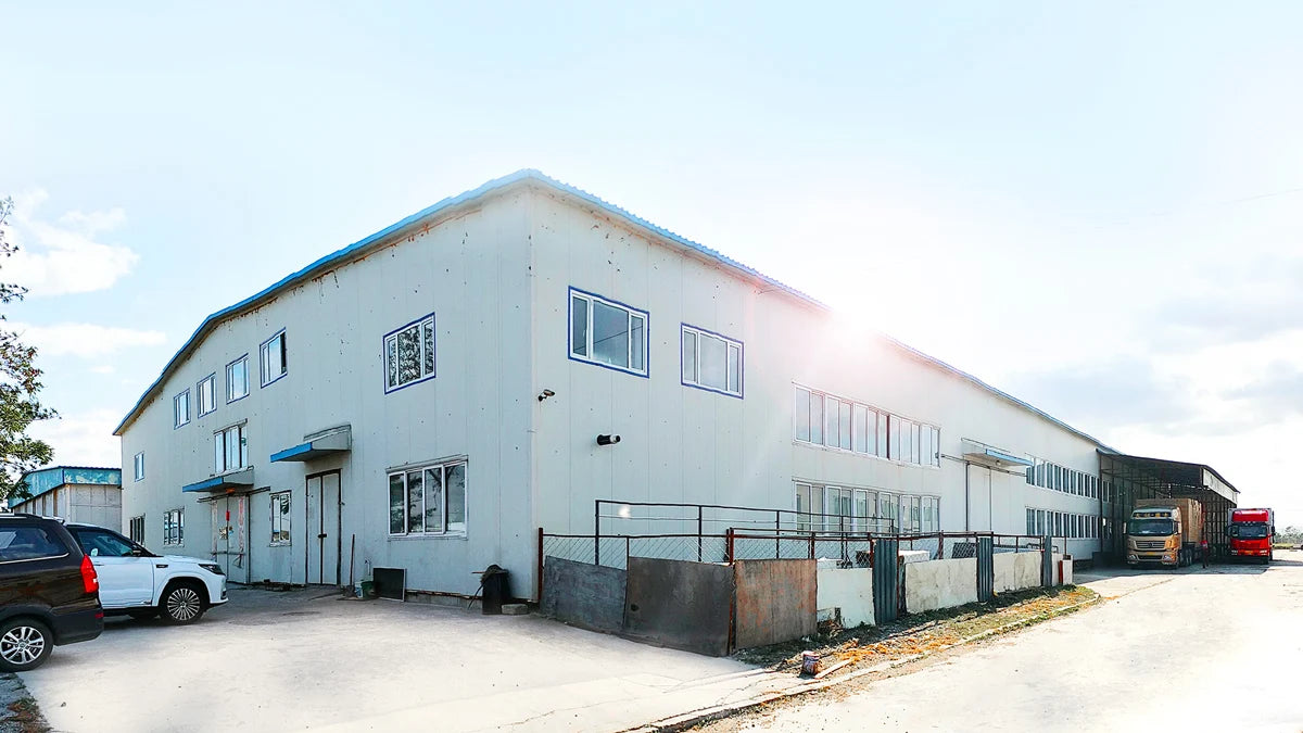 BRAIDWIGQUEEN 36" Big Knotless Braided Wigs for WOMEN 360 Full Lace Wig with Baby Hair Fashion Color #27/613