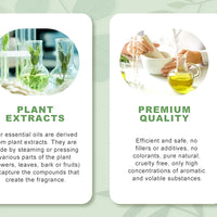 PHATOIL 100ml Natural Essential Oil For Skin Aromatherapy Lemongrass Eucalyptus Lavender  Peppermint Fragrance Essential Oils