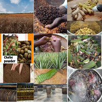 African Layden Nourish Oil Made by Ancient Methods Hot Hair Oil Scalp & Hair Roots Strengthening