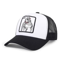 Animal Embroidery Color Block Cartoon Baseball Hats New Men Women Mesh Sunshade Casual Breathable Fashion Versatile Trucker Caps