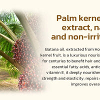 Jorceray Batana Oil for Hair Growth Dr Sebi Organic Raw Batana Oil from Honduras 100% Pure & Natural for Thicker & Stronger Hair