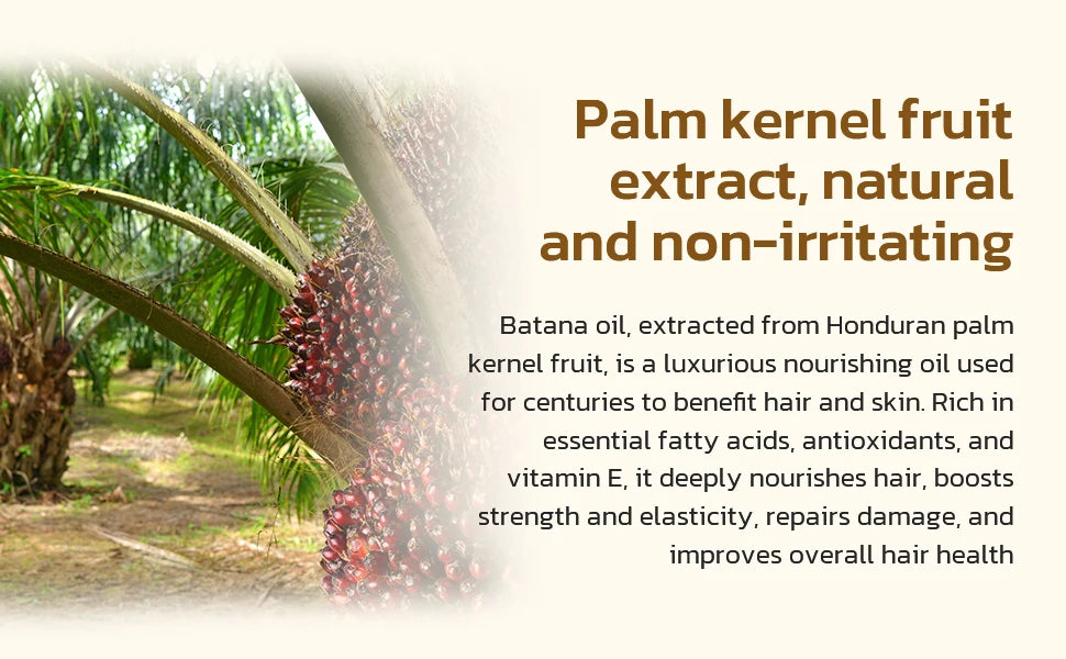 Jorceray Batana Oil for Hair Growth Dr Sebi Organic Raw Batana Oil from Honduras 100% Pure & Natural for Thicker & Stronger Hair