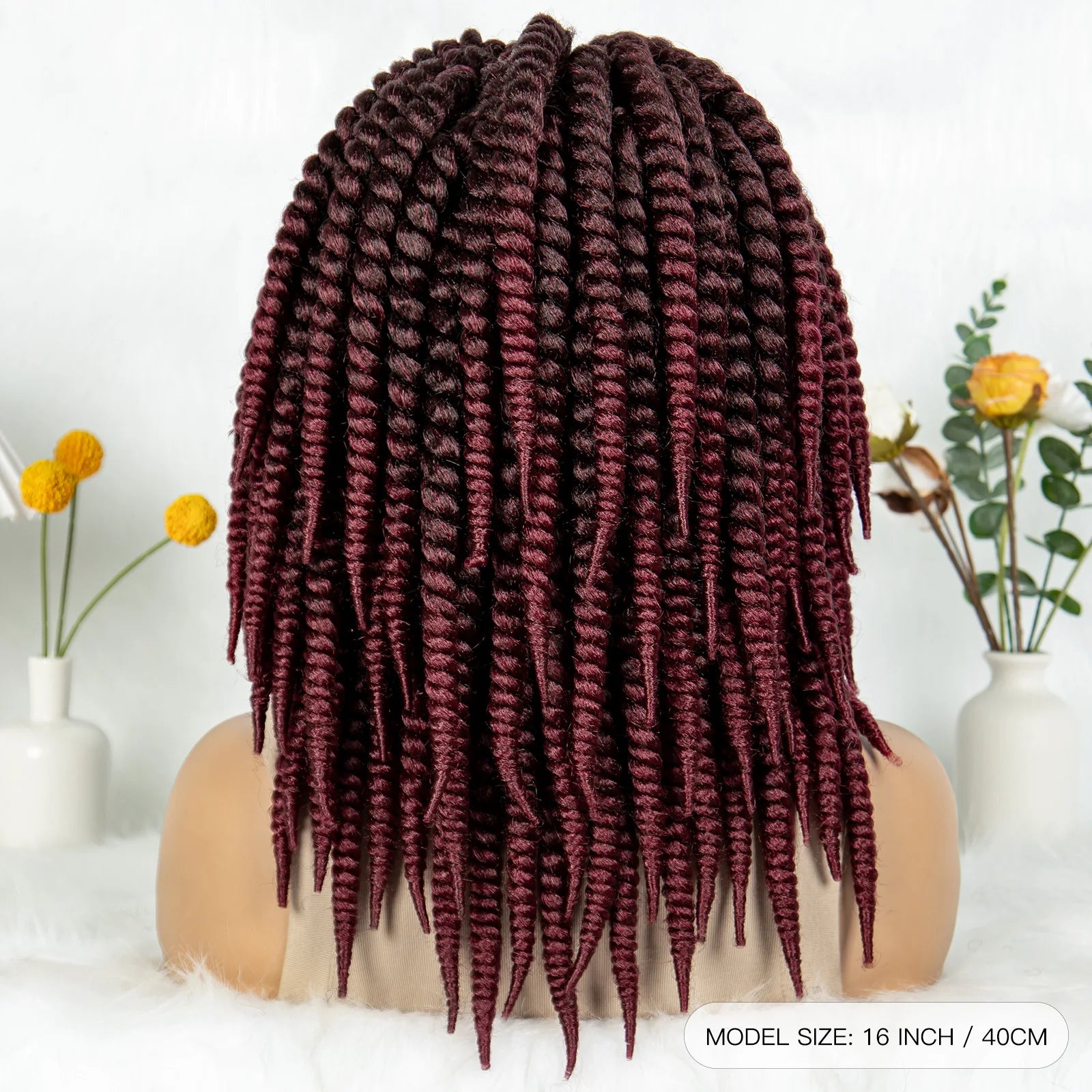 16" Full Lace Twisted Braided Wigs for Black Women Synthetic HD Lace Front Braids Wigs with Baby Hair Natural Lace Braiding Wigs