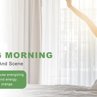 PHATOIL 100ml Natural Essential Oil For Skin Aromatherapy Lemongrass Eucalyptus Lavender  Peppermint Fragrance Essential Oils