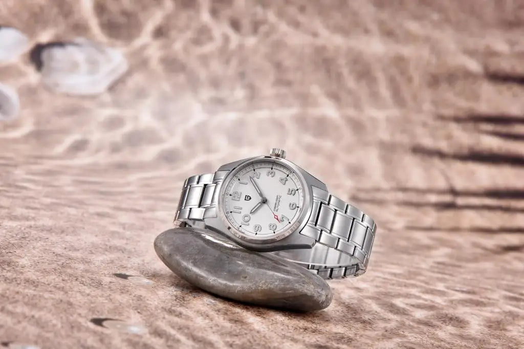 2025 PAGANI DESIGN Luxury Pilot Automatic Mechanical Watch 38MM Sapphire Waterproof Watch for Men Relogio Masculino PD1717 V2