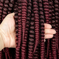 16" Full Lace Twisted Braided Wigs for Black Women Synthetic HD Lace Front Braids Wigs with Baby Hair Natural Lace Braiding Wigs