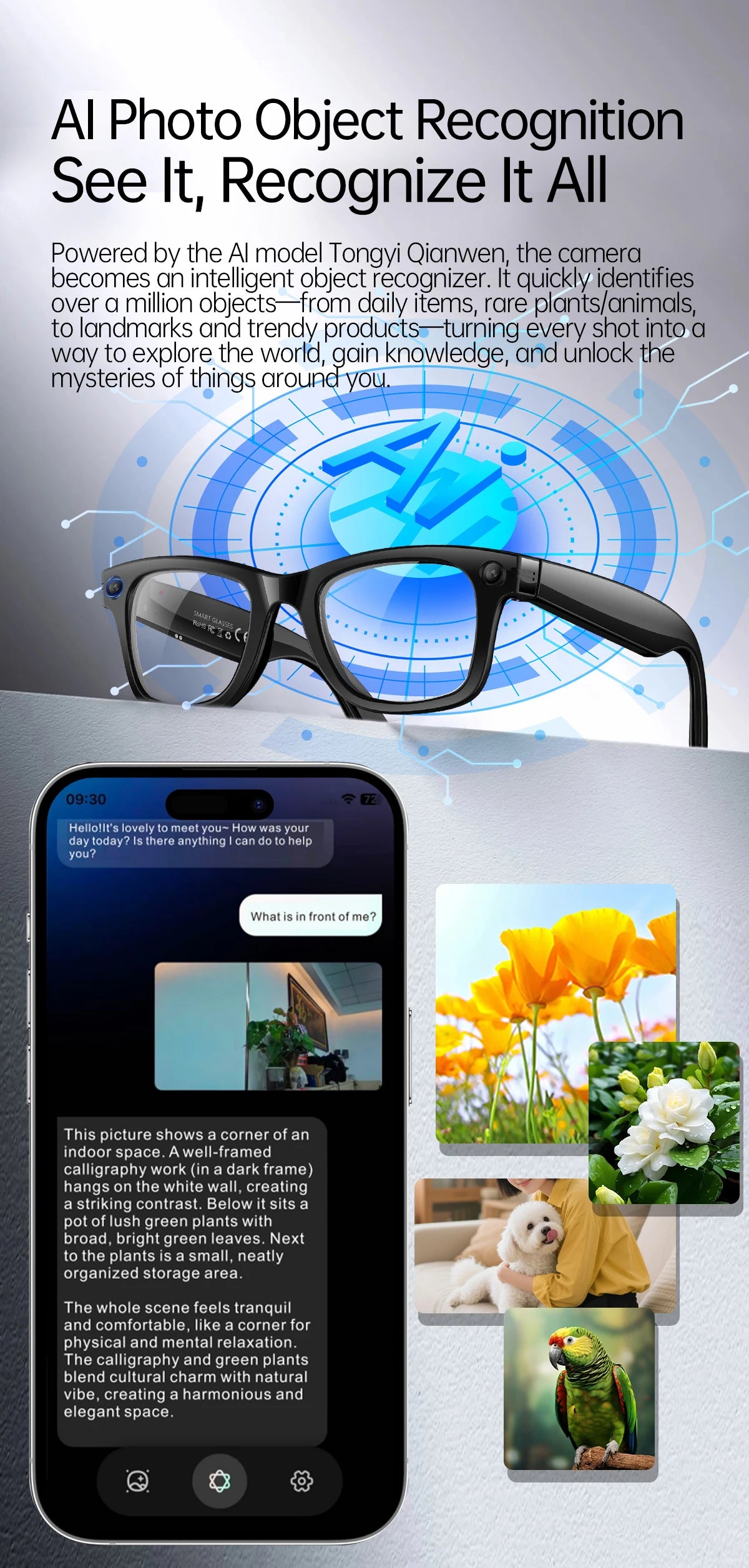 AI Smart Glasses 5 Million Pixels Recording Videos Photo Recognition Answer Translation 290mAh IP66 Waterproof Bluetooth Glasses