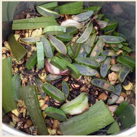 50ml Layden Oil African Traditional Handmade Scalp & Hair Roots Strengthening Hot Oil