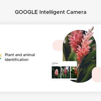 【Brand+】Global Version DOOGEE Note 58 8GB RAM 128GB ROM 6.75" HD+ 90Hz IPS Screen 6250mAh Large battery NFC Android 15