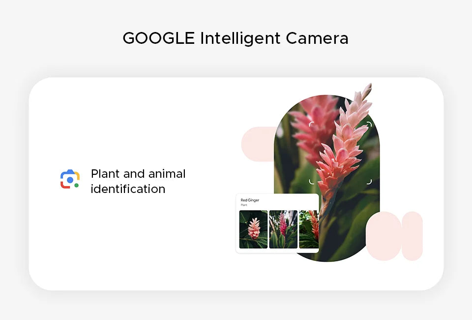 【Brand+】Global Version DOOGEE Note 58 8GB RAM 128GB ROM 6.75" HD+ 90Hz IPS Screen 6250mAh Large battery NFC Android 15