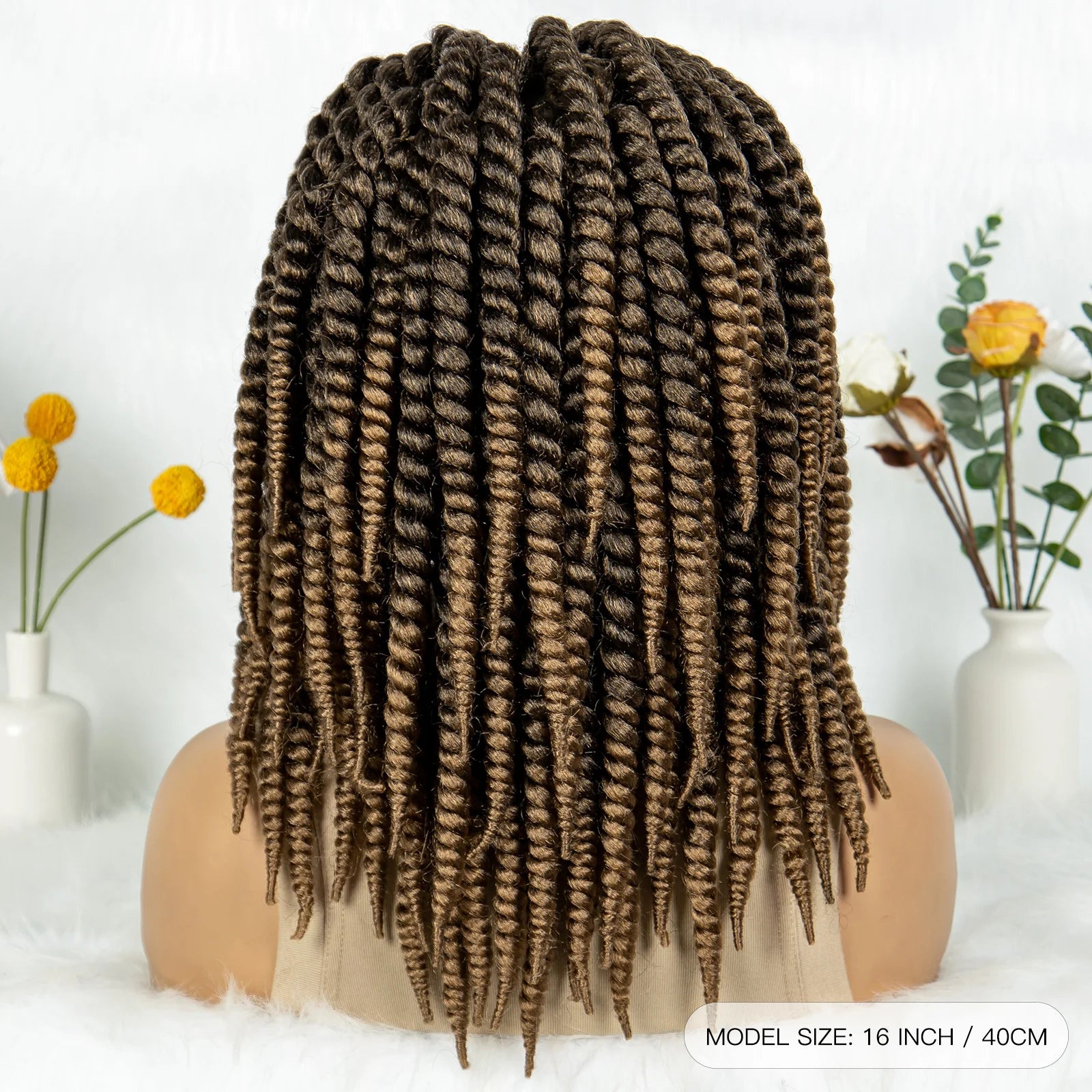 16" Full Lace Twisted Braided Wigs for Black Women Synthetic HD Lace Front Braids Wigs with Baby Hair Natural Lace Braiding Wigs