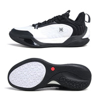 Li-Ning Men's WADE ICE 2 V2 Basketball Shoes BOOM Cushion Stable Support LiNing Sport Shoes ABPV001