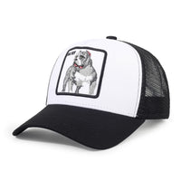 Men's Cartoon Animal Embroidered Baseball Caps Male Snapback Mesh Hats Hip Hop Caps for Men Female Outdoor Mesh Sun Hat