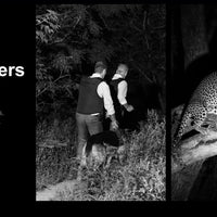 FOSSiBOT F106 PRO 4G Rugged Smartphone Android 14 15GB(8+7GB Extended) 256GB ROM 12000mAh 48MP 30W 6.58 Inch FHD+ Cellphone NFC