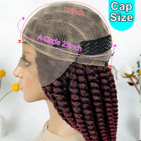 16" Full Lace Twisted Braided Wigs for Black Women Synthetic HD Lace Front Braids Wigs with Baby Hair Natural Lace Braiding Wigs