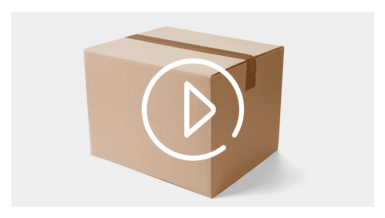 BRAIDWIGQUEEN 36" Big Knotless Braided Wigs for WOMEN 360 Full Lace Wig with Baby Hair Fashion Color #27/613